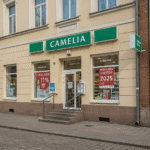 Camelia Nuolaidų Valandos 2025: Jūsų Gidas Taupymui Visus Metus
