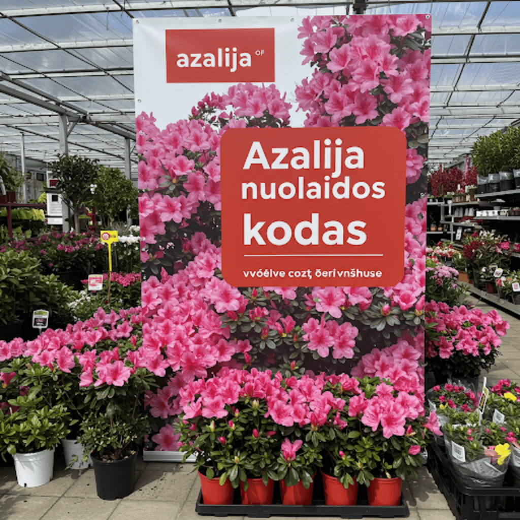 Azalija nuolaidos kodas: kaip sutaupyti apsiperkant gėles ir dovanas