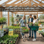 Sodo Realybės Šou: Ar IKI Sodinukai Verti Jūsų Krepšelio ir Kaip Juos Gauti Pigiau?