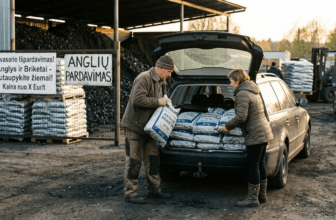Anglių išpardavimas: Kaip sutaupyti šimtus eurų ruošiantis kitai žiemai?