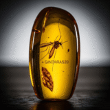 Gintarinės Vaistinės Nuolaidos Kodas: Išsamus Gidas, Kaip Išmaniai Taupyti Jūsų Sveikatai