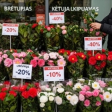 Camelia Vaistinės Nuolaidos: Kaip Sutaupyti Perkant Vaistus ir Sveikatos Prekes?